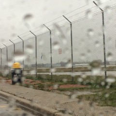 In The Field 2017-11-18