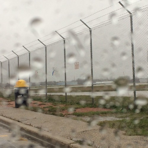 In The Field 2017-11-18