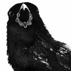 Crutches and Crows (Conover/Bach)
