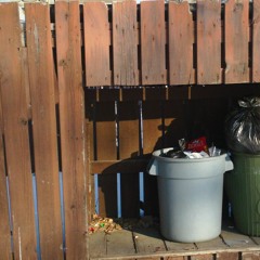 24TET microtonal serial atonal music /shoenberg/