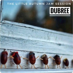 The Little Autumn Jam Session (in A Minor) [2012]