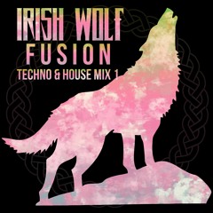 Techno & House Music Mix 1