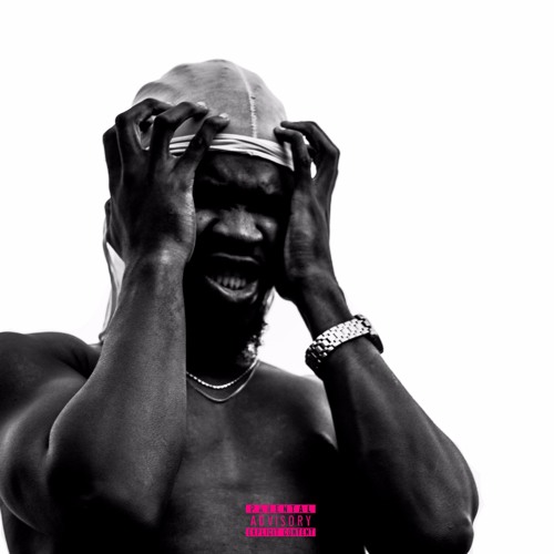 Pegasus (Feat. WavyTheCreator & BrisB)