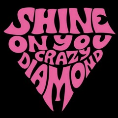 Shine On You Crazy Diamond Solo cover