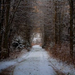 Noise Construct - ambient from Finland