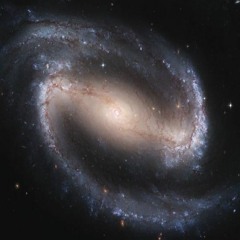 Children of the Universe
