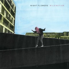 Night Flowers - Sandcastles
