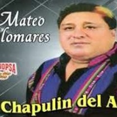 MATEO PALOMARES EL CHAPULÍN