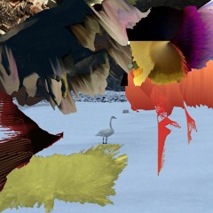 MIGration
