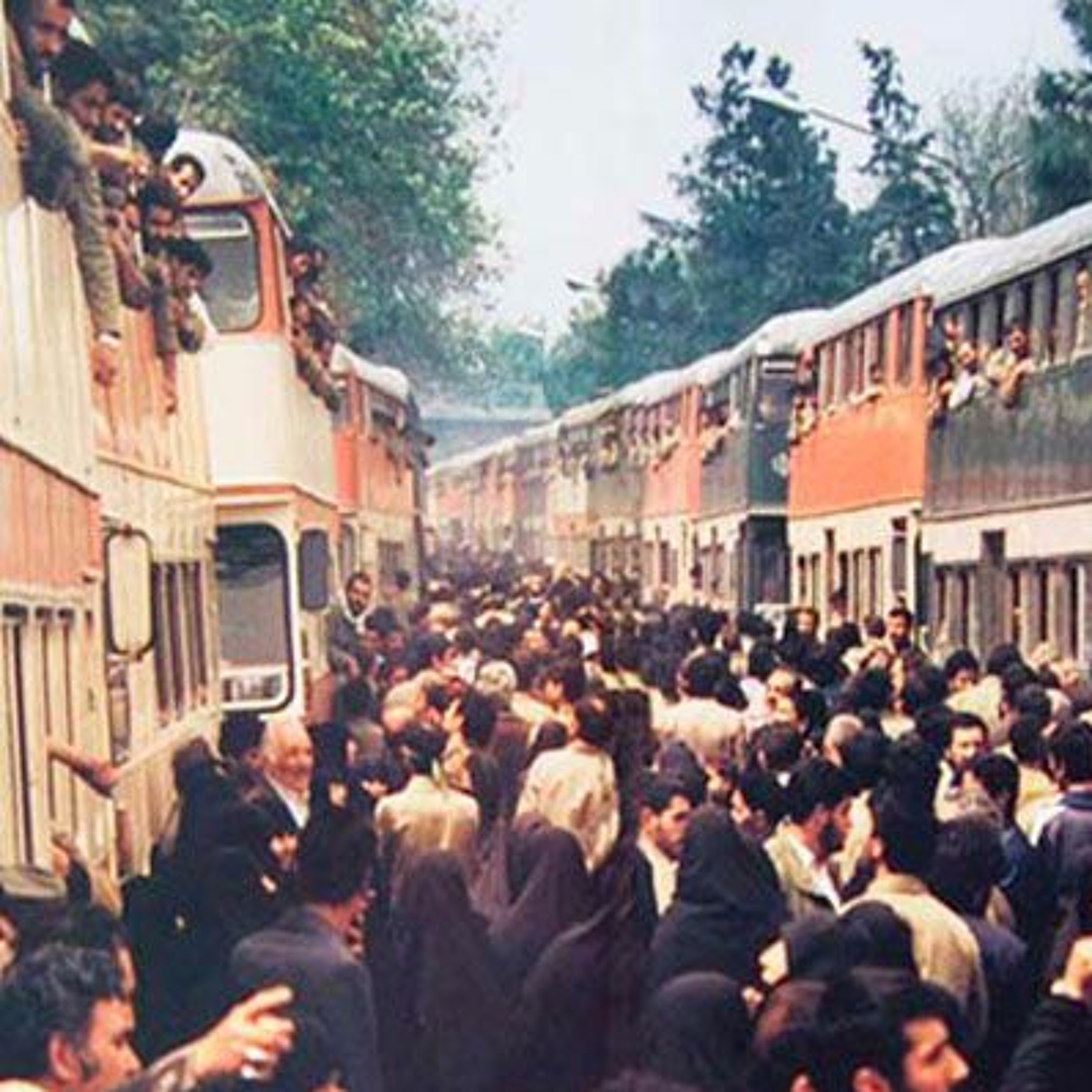 مورچه و زمستان