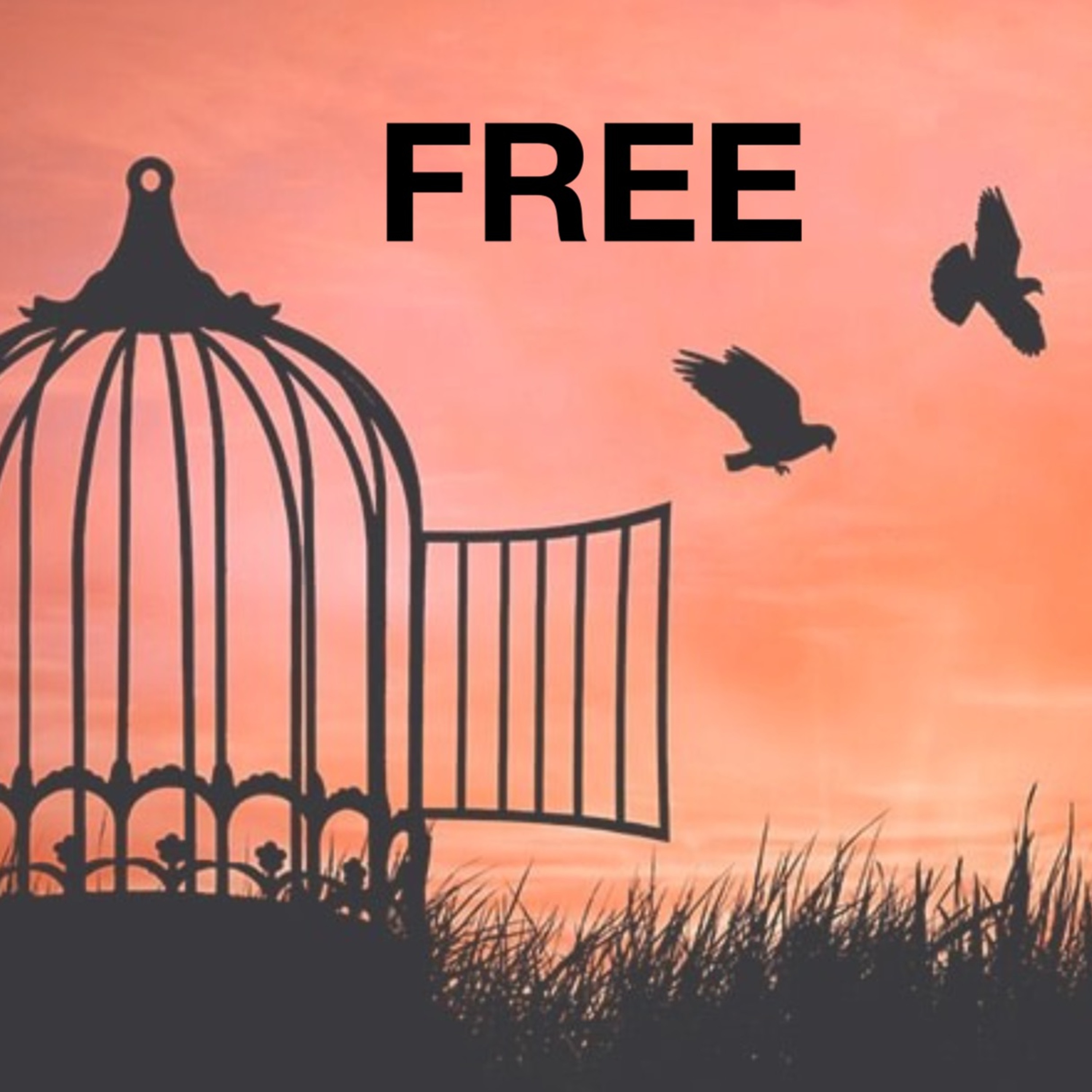 Freedom Church Chester