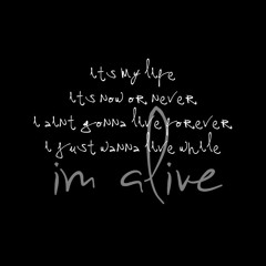 Bon Jovi - It's My Life (VINNE, Zerky Mix)