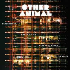 Other Animal - Albumtrailer