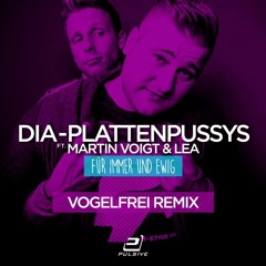 DIA - Plattenpussys ft. Martin Voigt & Lea - Für Immer Und Ewig (Vogelfrei Remix)