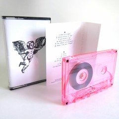 Penelope's Fiance - What Did You Expect?