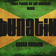 TOK RISE DI GUN FINGER TUNATIK DUBPLATE