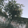 LON3R JOHNY "GRUNGEBOY"