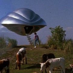 Flight of the navigator