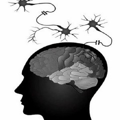 Vicox@Sensations 19 - 11 - 2017