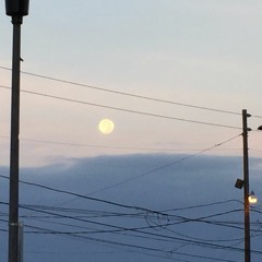 beowulf - ｇｏｔｈｂｏｙ