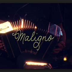 Maligno - Aterciopelados ft León Larregui (David)Latin Jazz