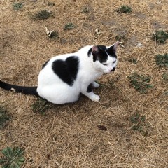 I Know You (ft Cold Hart) (prod. lightbody)