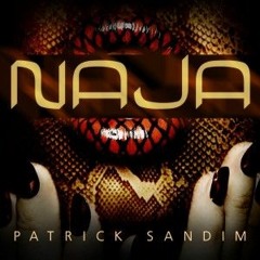 Patrick Sandim - Naja (Diego Santander Private Mix)