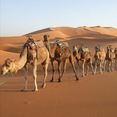 Sahara Swing
