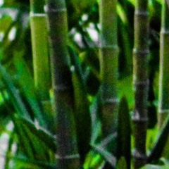 PB - Domme Dennie Ft. Gina, LB & Linea (Prod.Kits)