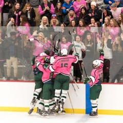 Berkshire Hockey Goal Horn 2017-2018