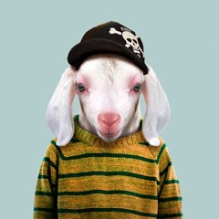 For the Mind Vol. XIII