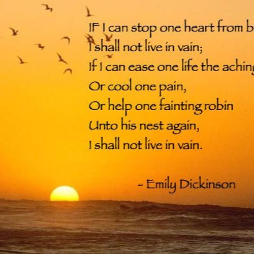 Living in vain meaning deals