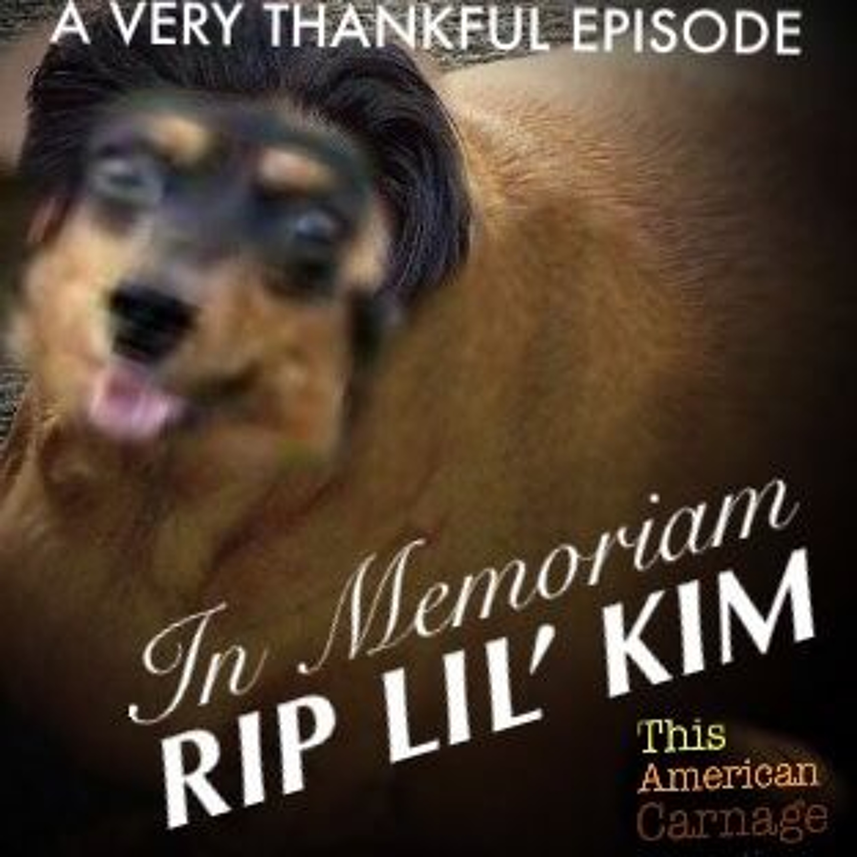 A Trumpsgiving Tragedy episode artwork