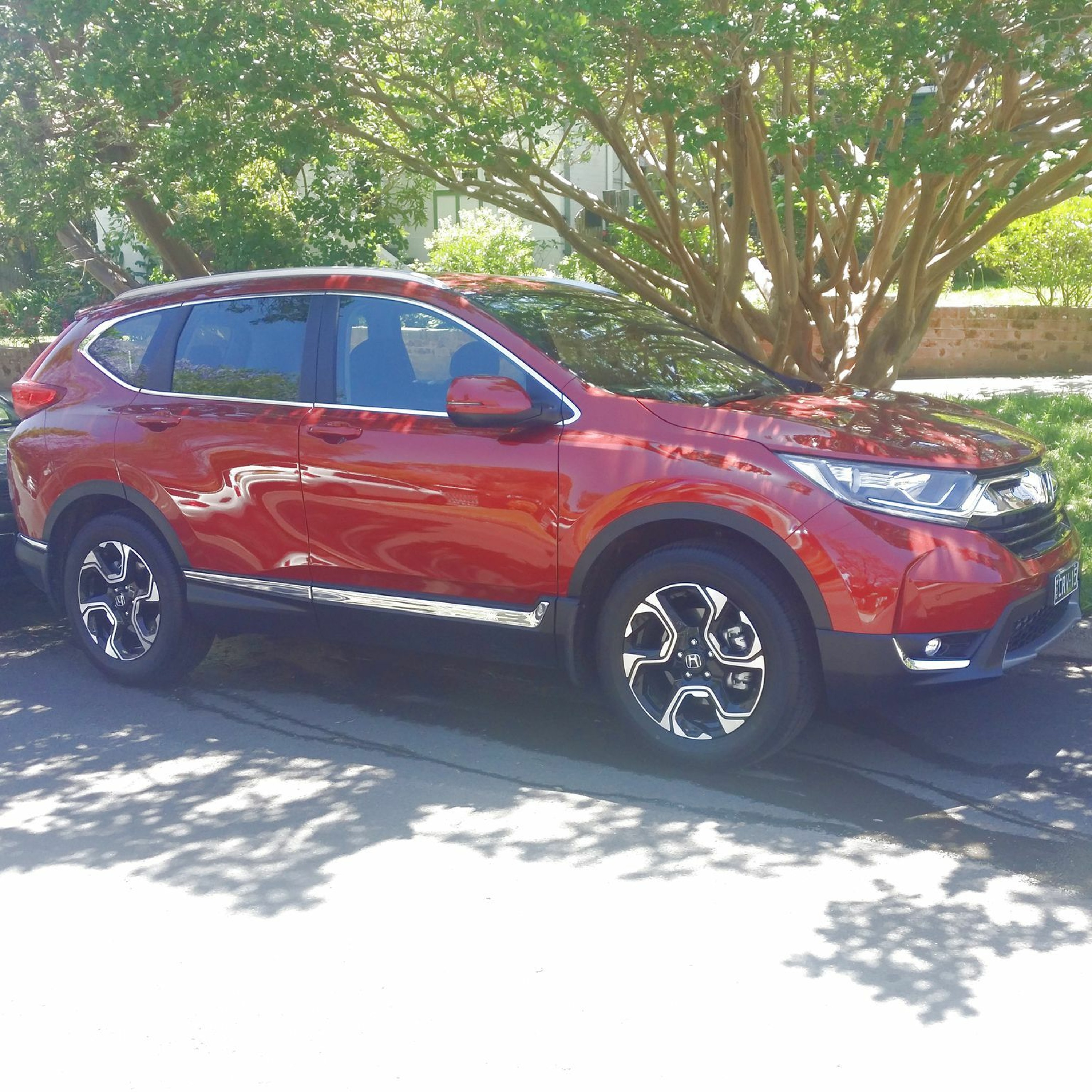 Overdrive: New Ford Territory; Honda CRV Road Test; There's a Bear in there thumbnail