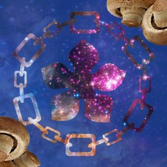 DREAMS OF A MUSHROOM FARMER - ShawnR