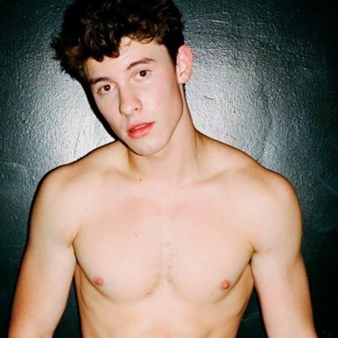 Stream LEAK: Stitches (.FLAC Stems) - Shawn Mendes by Samuels Mashups |  Listen online for free on SoundCloud