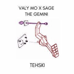 Valy Mo X Sage The Gemini - nick teske edit