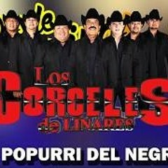 El popurri del negro (audio) - Los corceles de linares