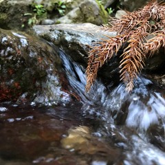 DR-07 MKII AB Stereo Sample