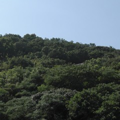 soxidolei (ningbohua)