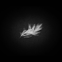 OBJECTIF PLUME