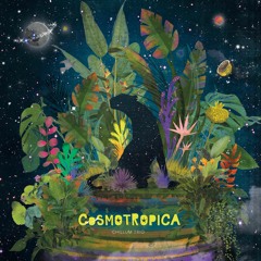 Chillum Trio - Cosmotropica (snippets from the forthcoming 12" release)