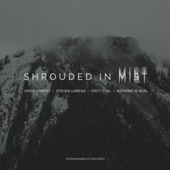 PREMIERE : Steven & Vince Lorenz - Mist [Intransikbeats Records]