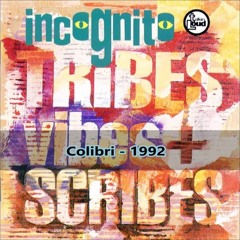 Incognito - Colibri (Sounds Of Soul With Love Retouch) CLIP