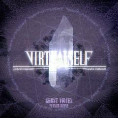 Ghost Voices (Punker Remix)