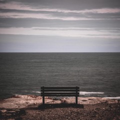 The Laurens — The Cracks