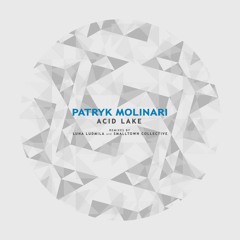 Patryk Molinari - Vob (Luna Ludmila's Subtle Dub Remix)