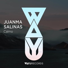 Juanma Salinas - Calmo [Preview]