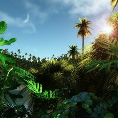 Jungle