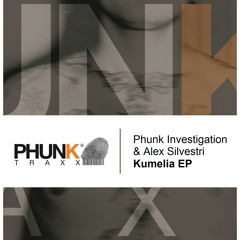 Phunk Investigation & Alex Silvestri_Kumelia